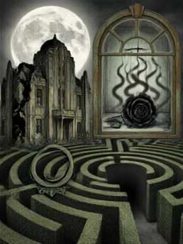 The Mehra Labyrinth